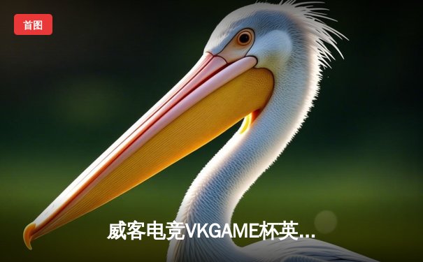 威客电竞VKGAME杯英雄联盟职业联赛：JDG战队3-2逆转TES卫冕冠军，Knight夺得FMVP